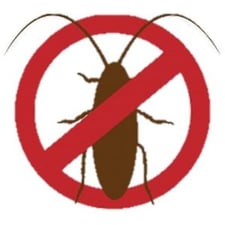 Cockroaches