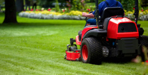 landscape-maintenance-servi