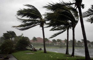 Preparing your South Florida Landscape for Hurricane Season