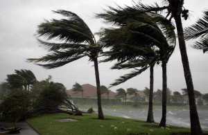 Hurricane Damage