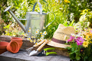 spring-gardening-tips