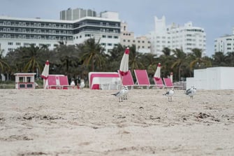 SURFSIDE statutes 