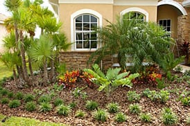 South Florida Spring Landscaping Tips