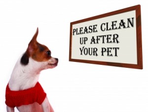 Florida HOA Dog Poop Problems