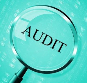 Community Association Audit Fees