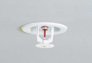 Condominium Fire Sprinkler Systems